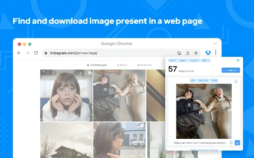 Image Downloader: I-download ang Lahat ng Larawan nang Libre - Screenshot 1