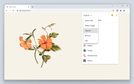 I-download ang Search by Image – Pinakamabilis na Reverse Image Search - Screenshot 3
