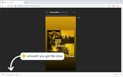 Story Saver: I-download ang Facebook at Instagram Videos nang Libre - Screenshot 5