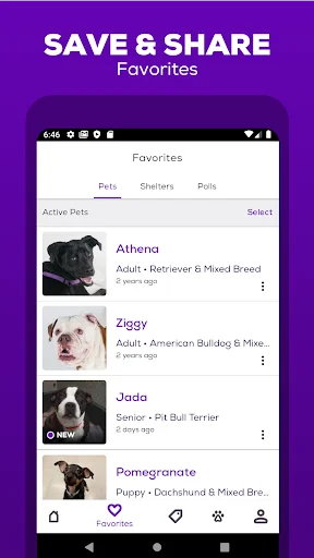 I-download ang Petfinder App: Maghanap ng Aasuhin at I-adopt Ngayon - Screenshot 4